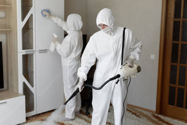 Affordable Sewage Cleanup solutions in Canton, NC