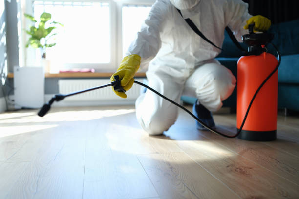 Reliable Sewage Cleanup contractor in Canton, NC by Trauma Clean Pros